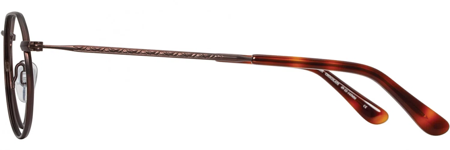 American Optical JAMISON Eyeglasses - view 8